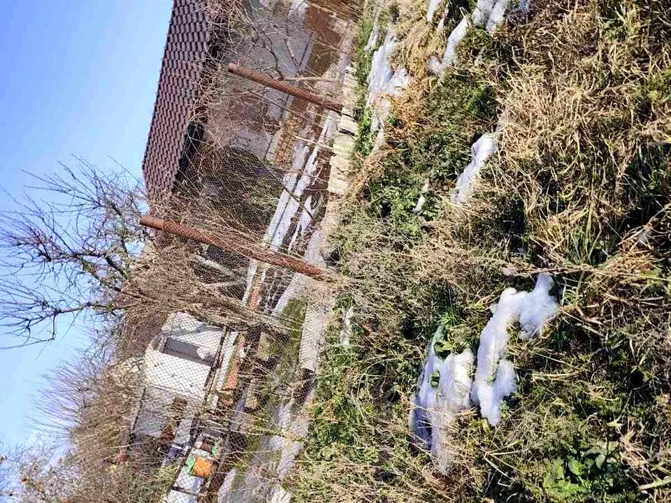 Будинок. Київ, Центральна вул.