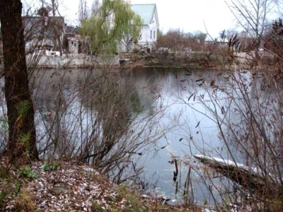 Будинок. Київ, 161-ша Садова вул.