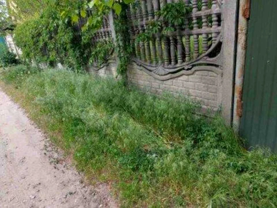 Будинок. Київ, Садова вул.