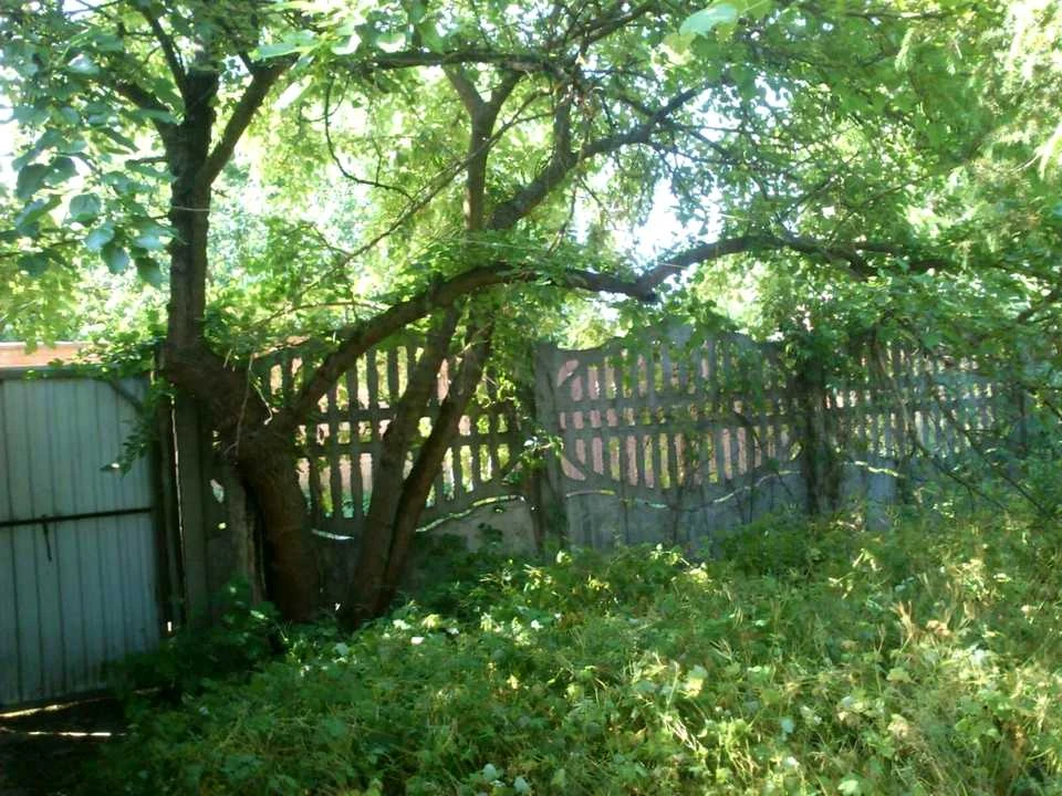 Будинок. Київ, Садова вул.
