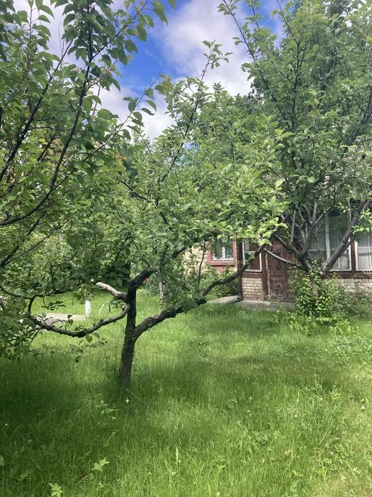 Будинок в Києві пров.  Жмеринський,4