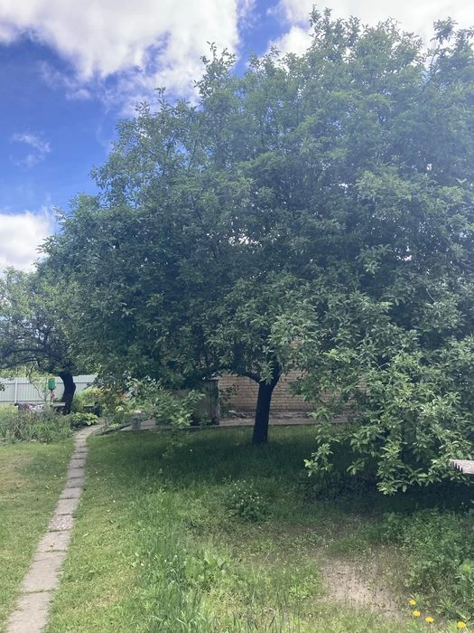 Будинок в Києві пров.  Жмеринський,4
