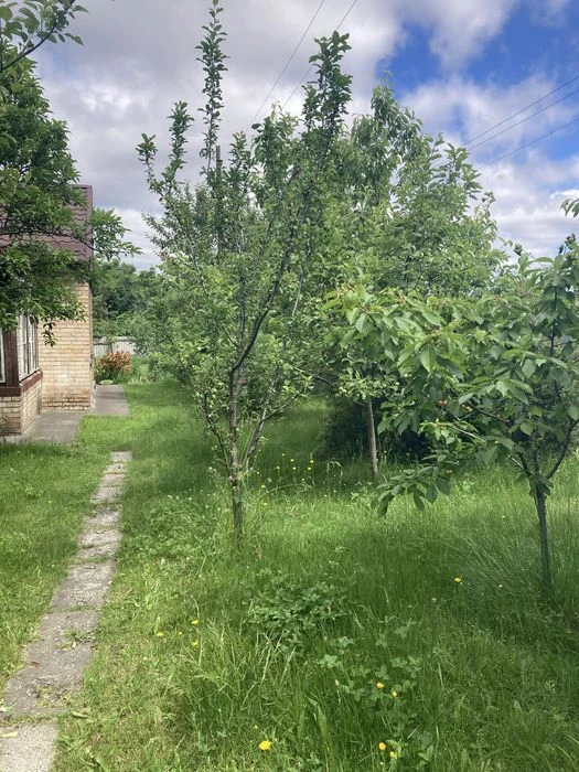Будинок в Києві пров.  Жмеринський,4