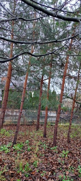 Елітне камерне місце для проживання, будинок з виходом до во