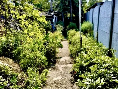 Будинок. Дніпро, Сержа Лифара вул. (Чайковського)