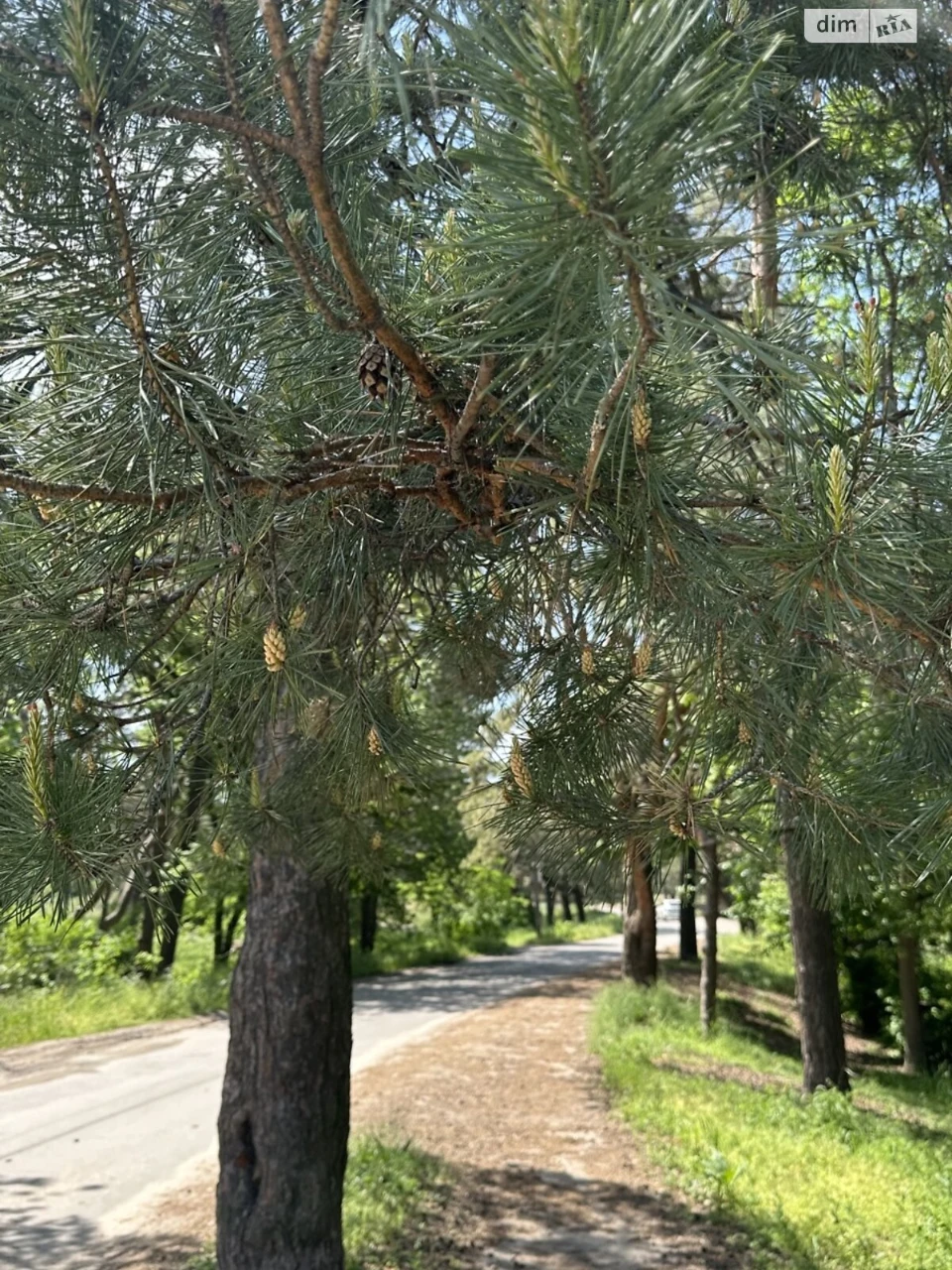 Продаж Дім Самарський