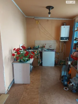 Продаж Дім Амур-Нижньодніпровський