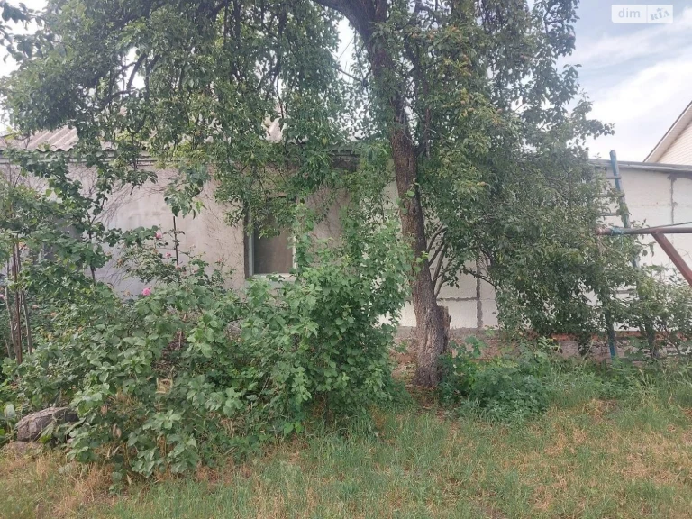 Продаж Дім Амур-Нижньодніпровський