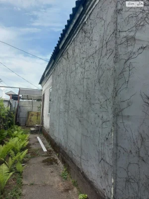Продаж Дім Амур-Нижньодніпровський