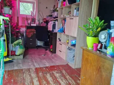 Будинок. Дніпро, Родевський тупик (Давидова)
