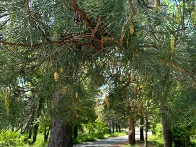 Будинок. Дніпро, Бориспільська