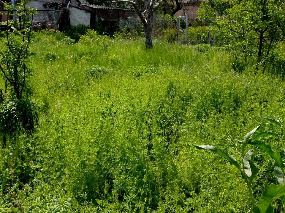 Будинок. Дніпро, Чепурна вул. (Гастелло)