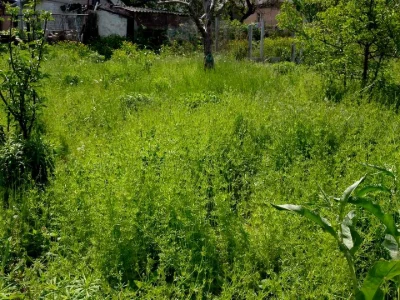 Будинок. Дніпро, Чепурна вул. (Гастелло)