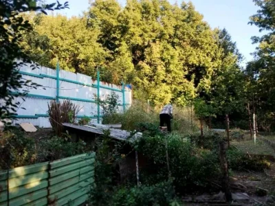 Будинок. Дніпро, Оранжерейна вул.