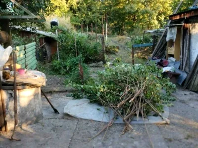 Будинок. Дніпро, Оранжерейна вул.