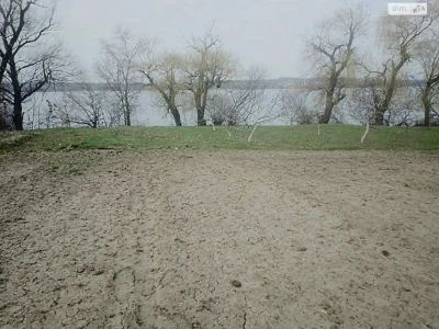 Продаж Дім Придніпровський