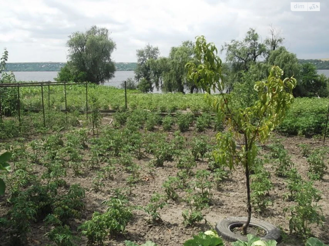 Продаж Дім Придніпровський