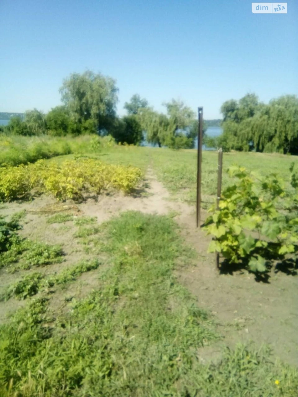 Продаж Дім Придніпровський