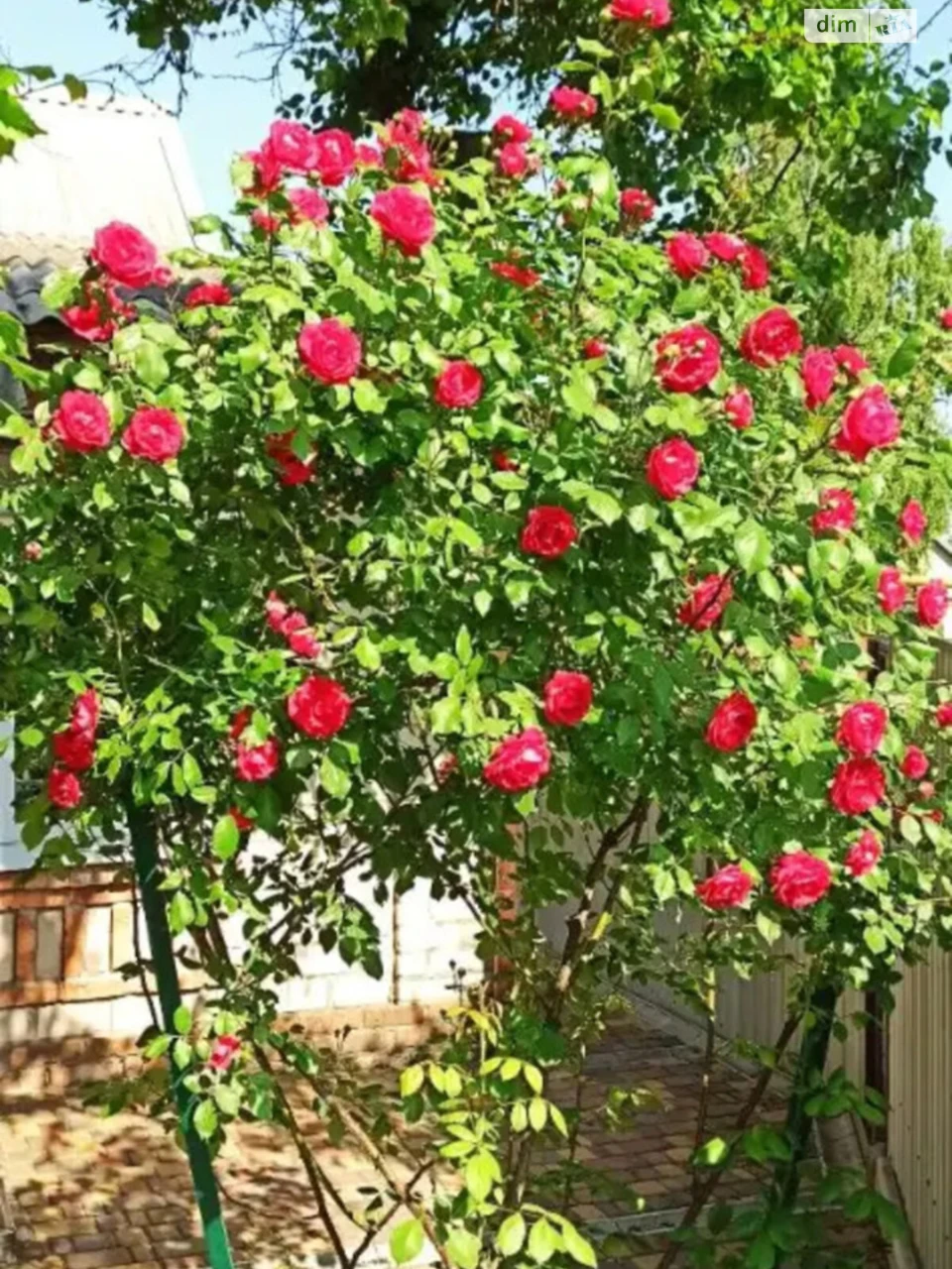 Продаж Дім Лоцкам'янка