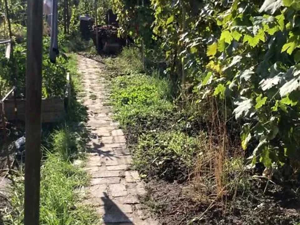 Будинок. Дніпро, Ламаний пров.
