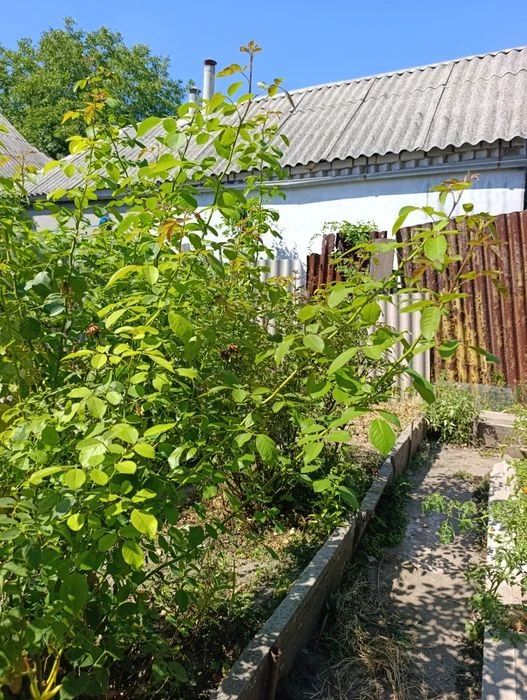 РЕАЛЬНИЙ будинок р-н Івана Мазепи