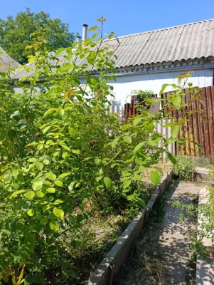 РЕАЛЬНИЙ будинок р-н Івана Мазепи