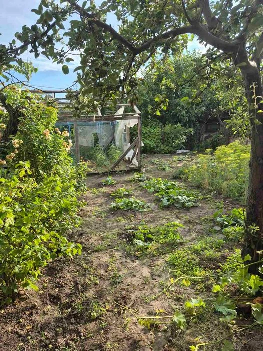Продається будинок в АНД районі вул. Балхаська