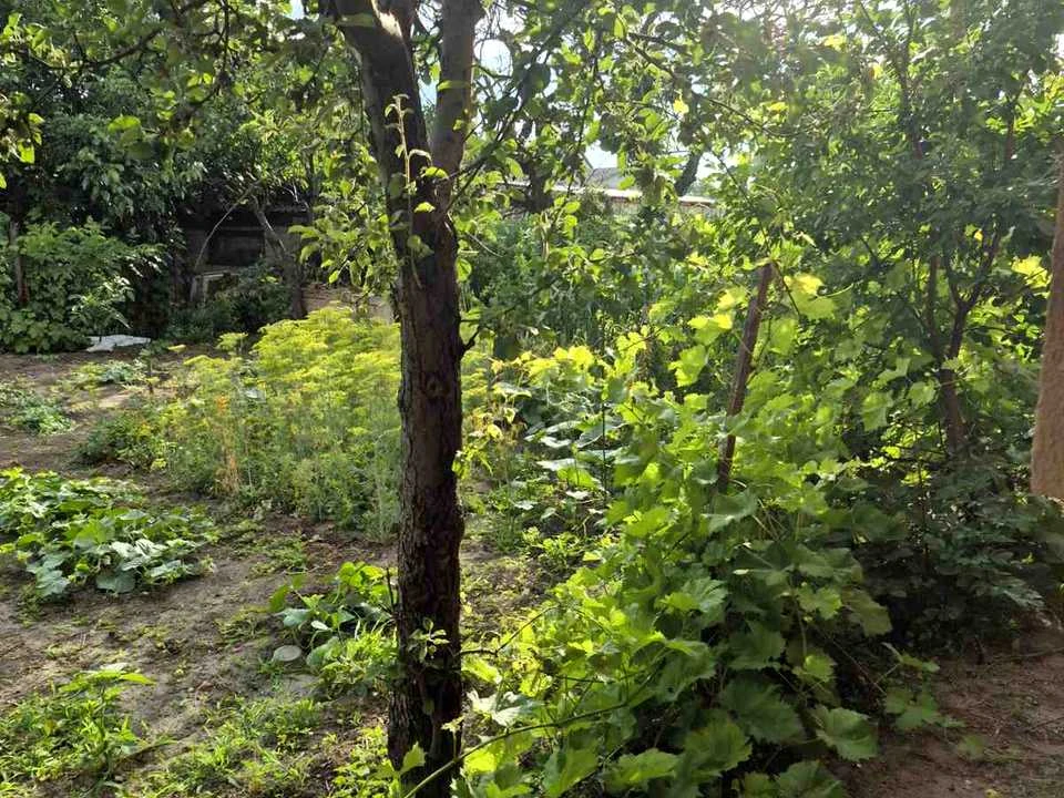 Будинок. Дніпро, Балхаська вул.