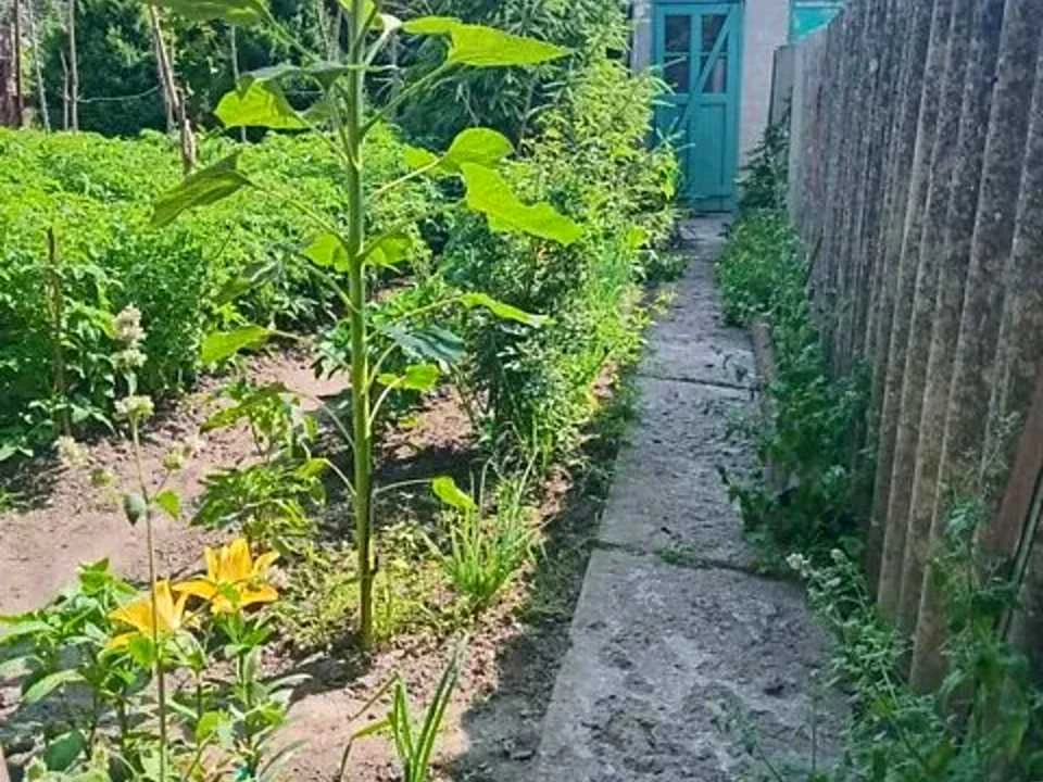 Будинок. Дніпро, Київська вул.