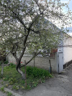 Продаж Дім Робоча