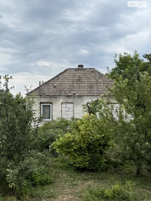Продаж Дім Діївка-2