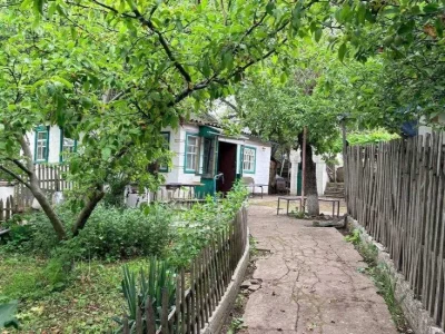 Продам дом в Диевке с большим участком 16 соток