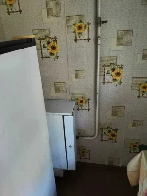 Продам дом в Диевке с большим участком 16 соток