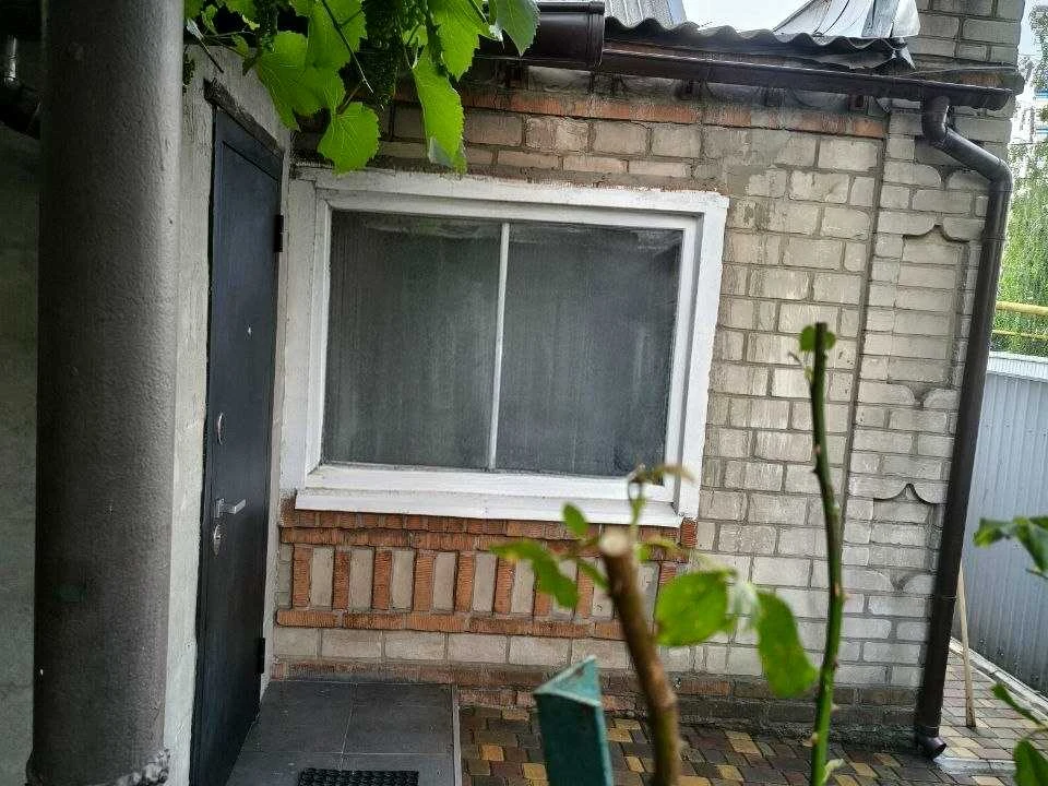 Будинок. Дніпро, Анны Шведько