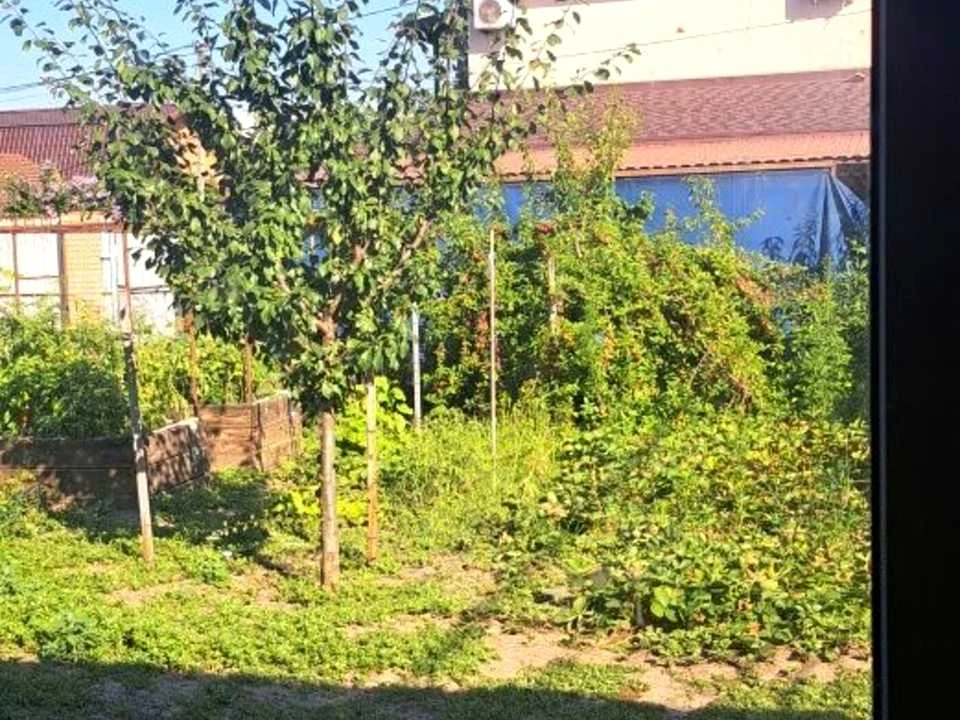 Будинок. Дніпро, Березанівка