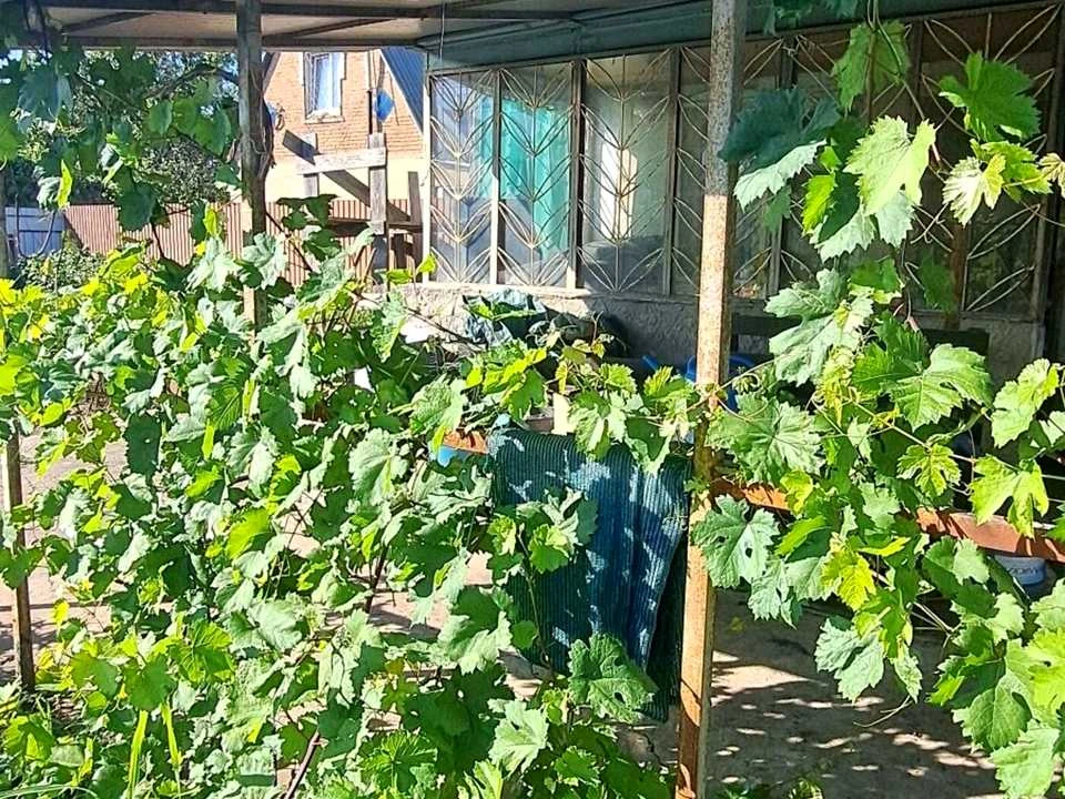 Будинок. Дніпро, Березанівка