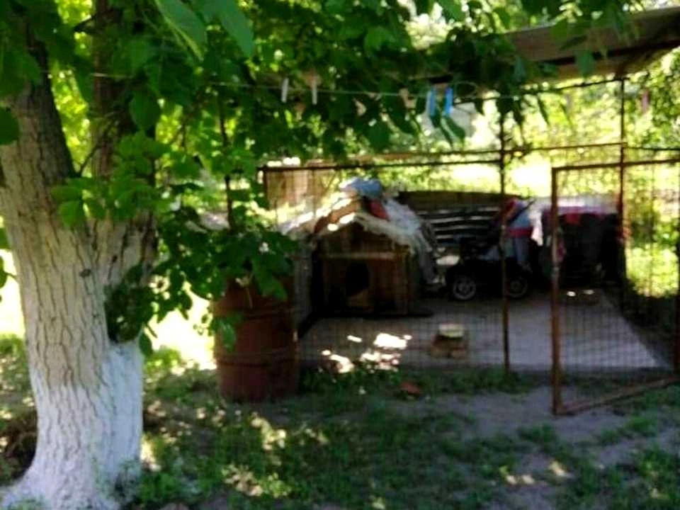 Будинок. Дніпро, Степова вул.