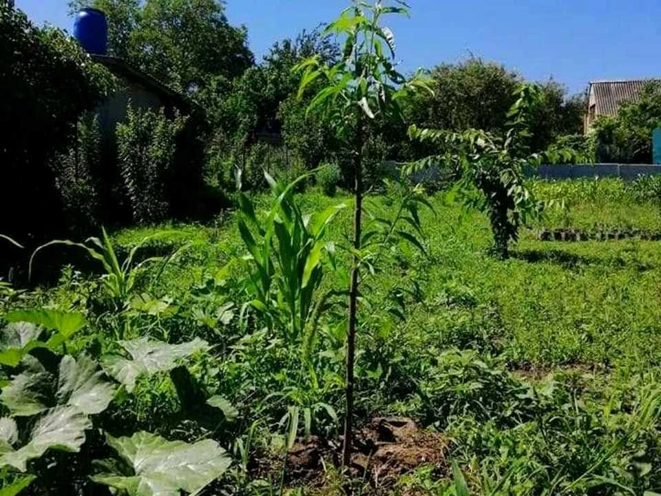 Будинок. Дніпро, Степова вул.