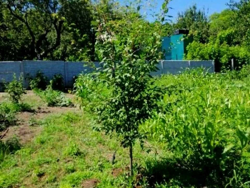 Будинок. Дніпро, Степова вул.