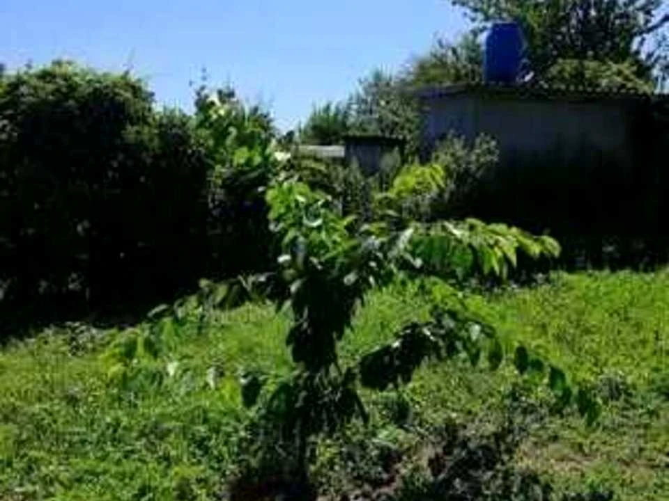 Будинок. Дніпро, Степова вул.