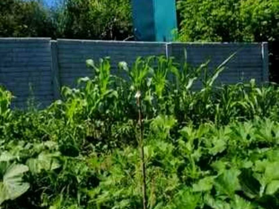 Будинок. Дніпро, Степова вул.