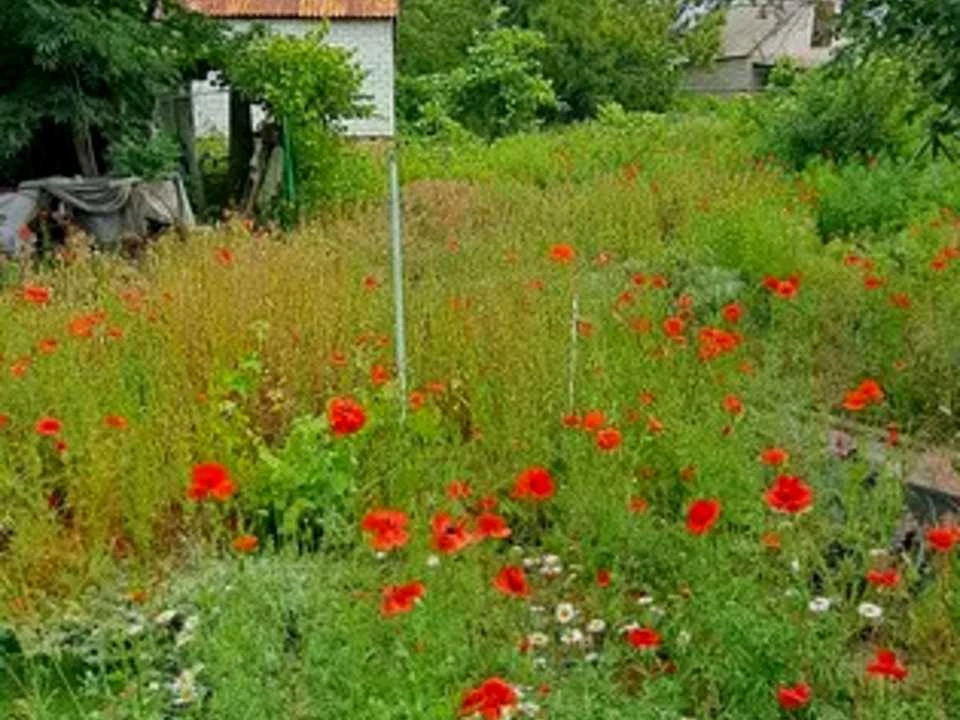 Будинок. Дніпро, Приозерне