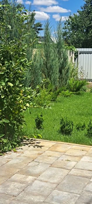 Продам дачу в (Березанівка)7км. від ж.м.Фрунзенський(Ломівсь