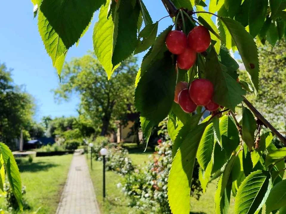 Будинок. Дніпро, Трифона Гладченка вул. (Аврори)