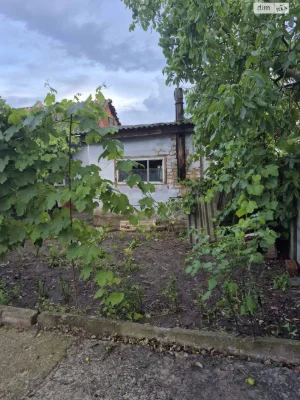 Продаж Дім Амур-Нижньодніпровський