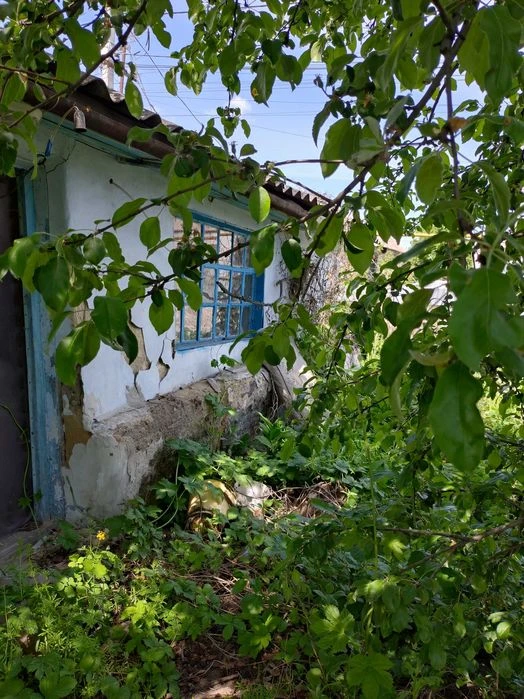 Будинок iз земельною дiлянкою. Днiпро, Новокодацький район,