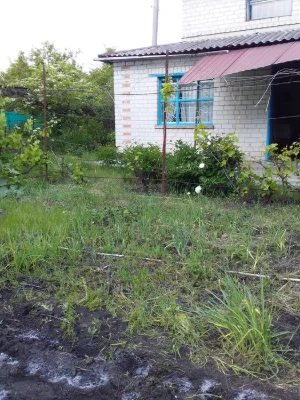 Продам дачу в Самарівці, СТ "Агрус-1"