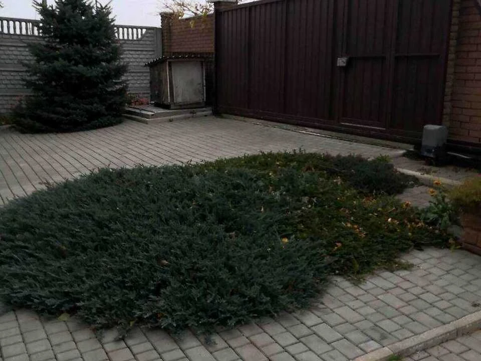 Будинок. Дніпро, Броньова вул.