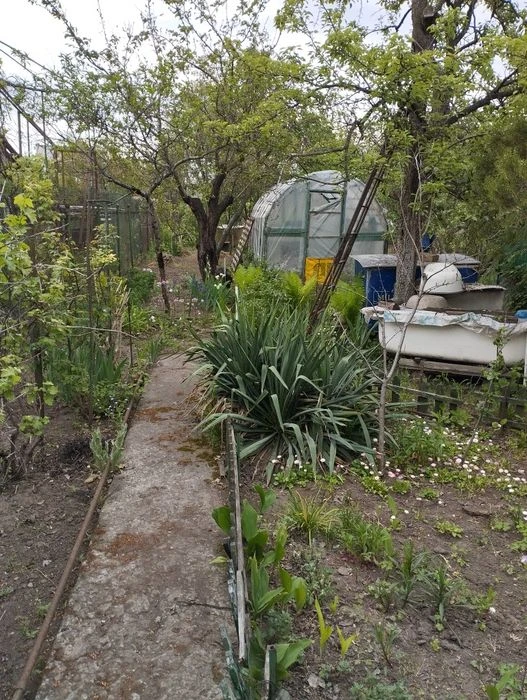 Продам приватизовану дачу на Байкалській