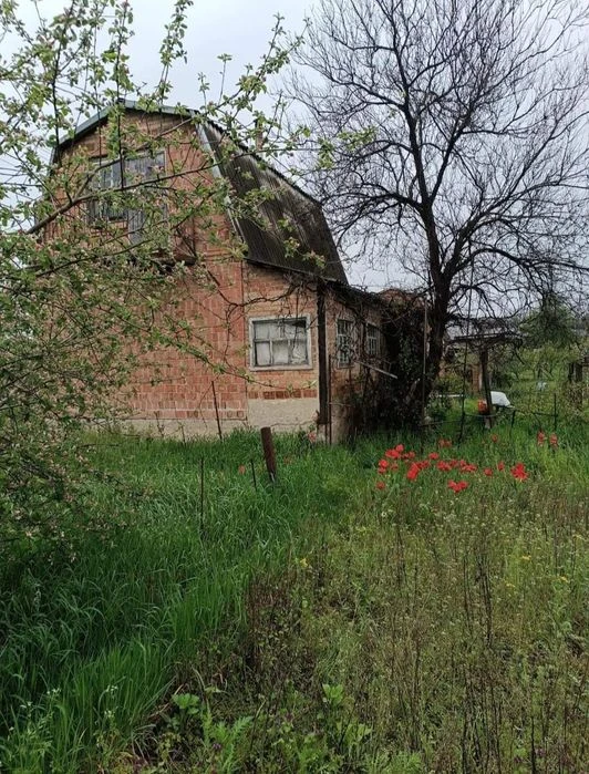Дача  біля села Балівка